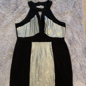 NWT Forever 21+ Black/Silver Bodycon Dress